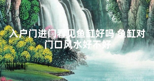 入户门进门看见鱼缸好吗 鱼缸对门口风水好不好